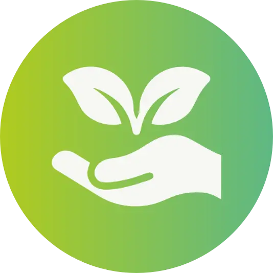 Sustainability
